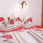 Appartement Wasserfälle Mayrhofen