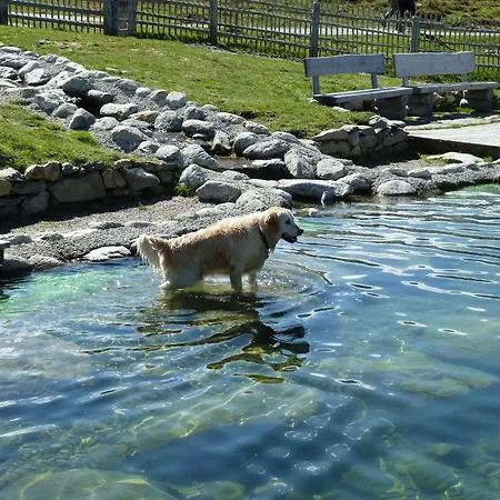 Wasserfälle *